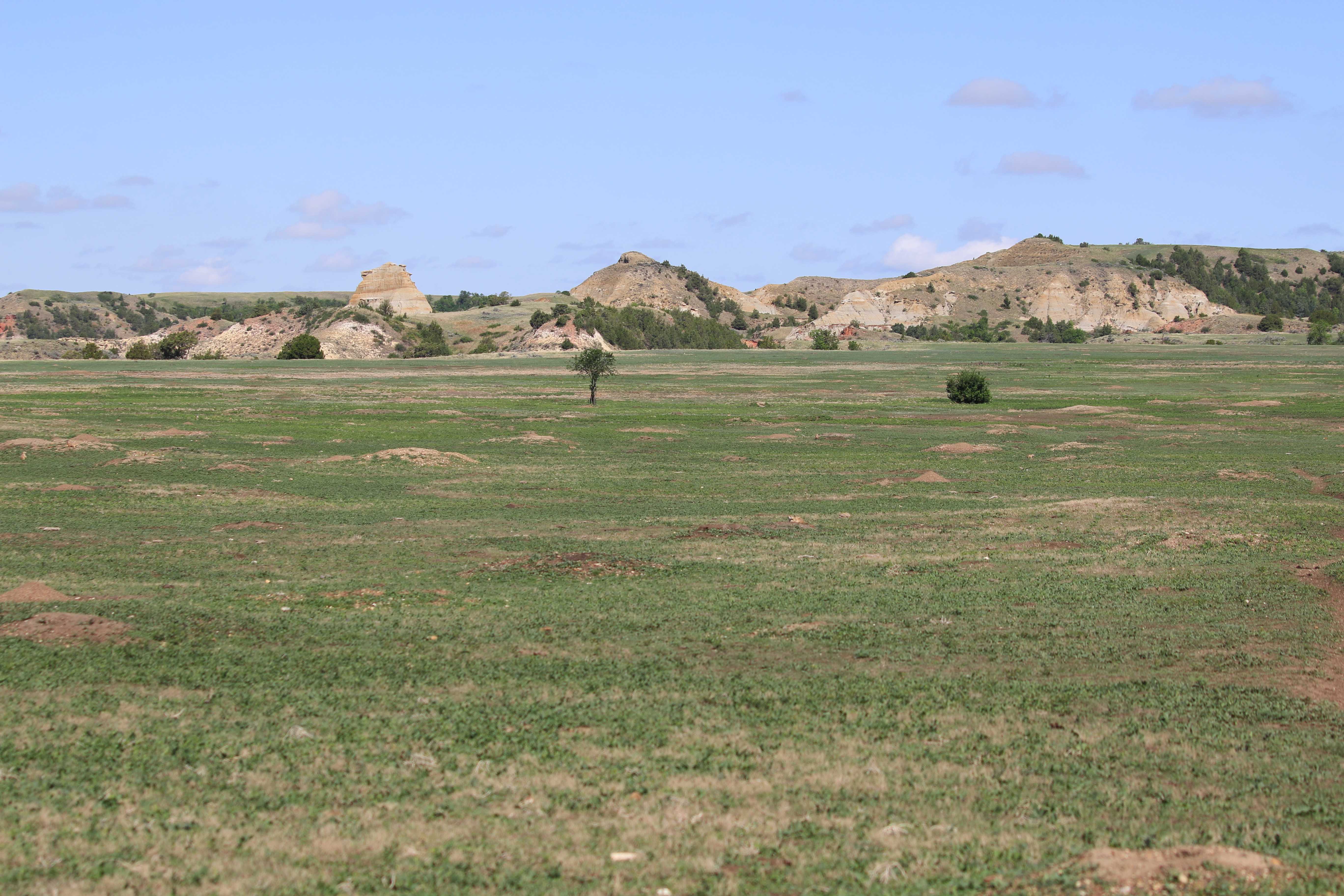 Theodore Roosevelt NP